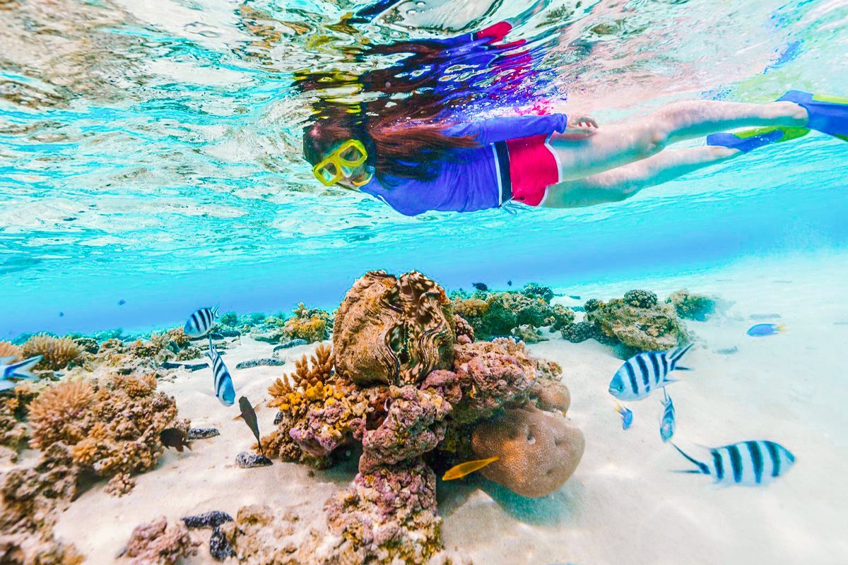 Scuba diving Marsa Alam - Image 5