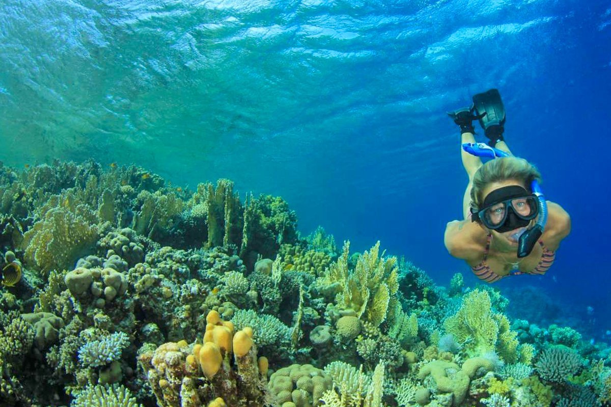 Scuba diving Marsa Alam - Image 7