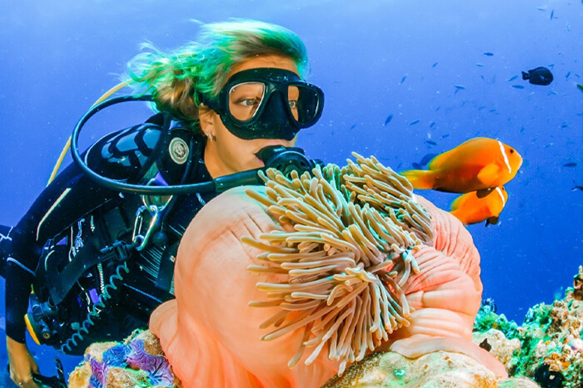 Scuba diving Marsa Alam - Image 6