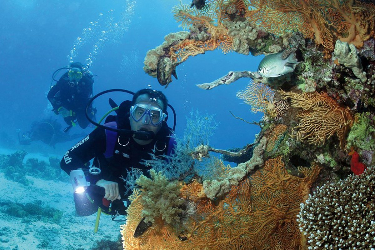 Scuba diving Marsa Alam - Image 4